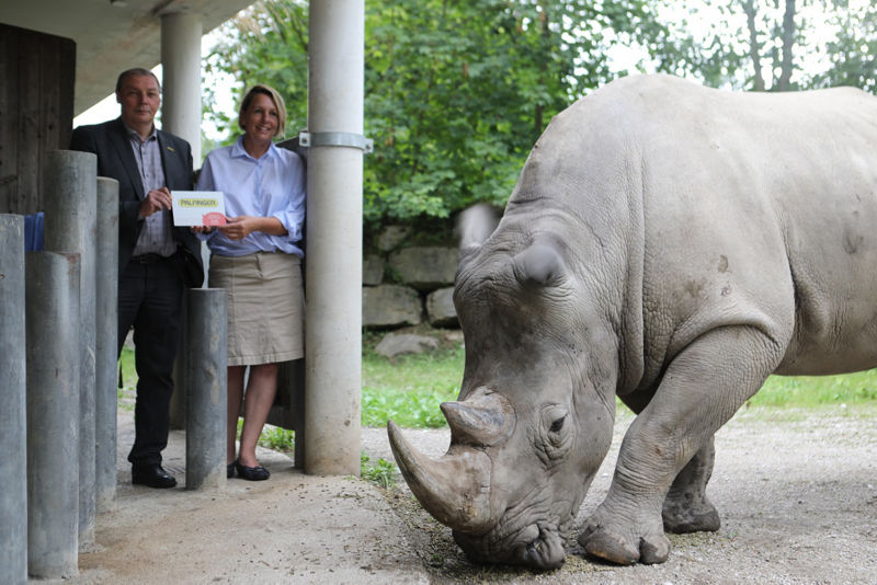 PALFINGER: Rhinobulle Athos als neues Patentier